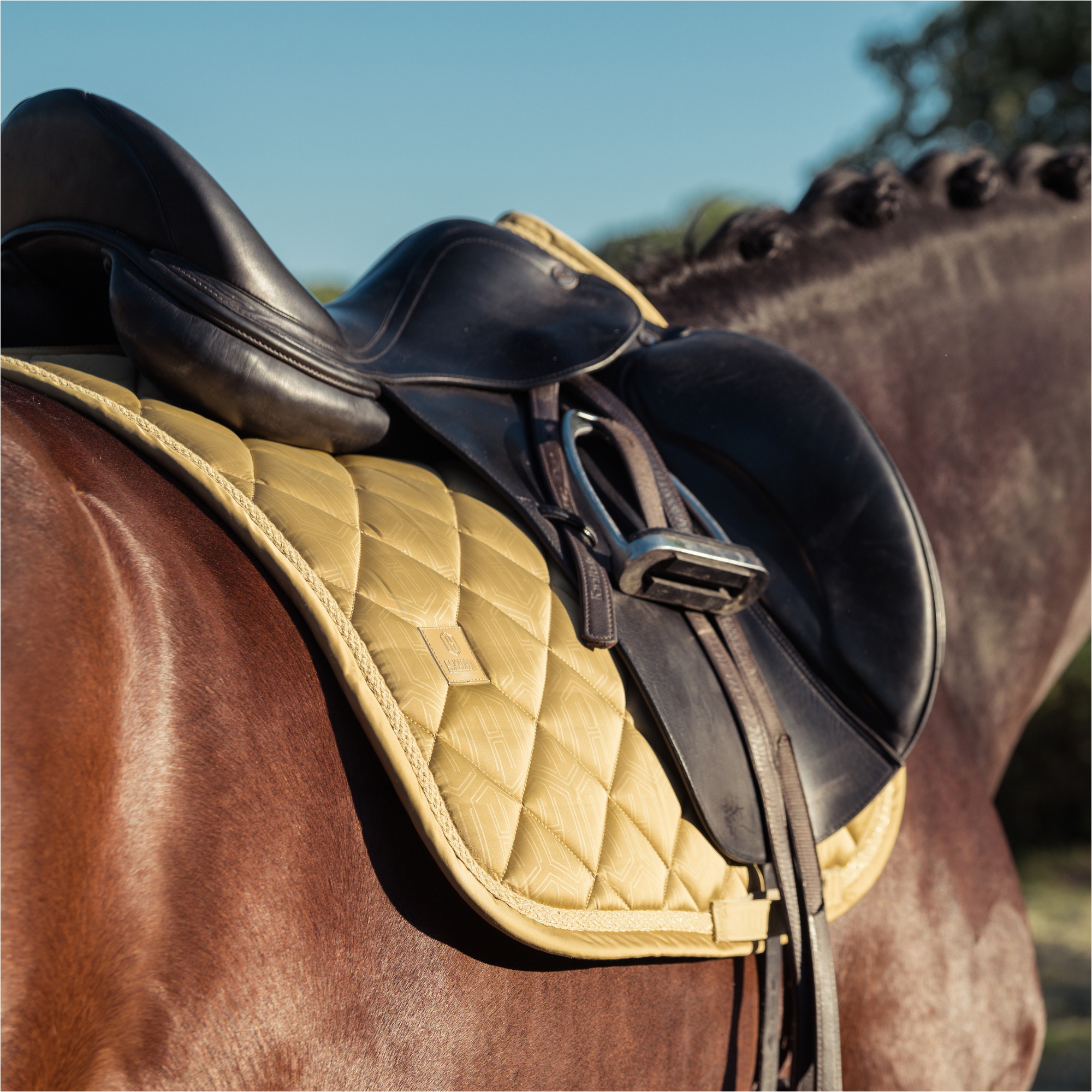 2025 Eskadron Heritage Glossy Saddle Cloth 215858 445 160 - Cardamom